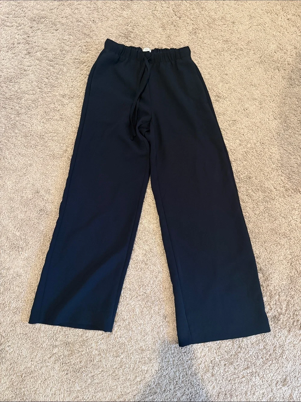 Wilfred Aritzia Lodge Pant - Picture 1 of 3